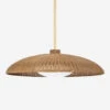 Fiora Pendant Light