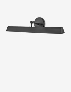 Lennon Plug-In Picture Light -KIRA Lighting Shop 47095BK