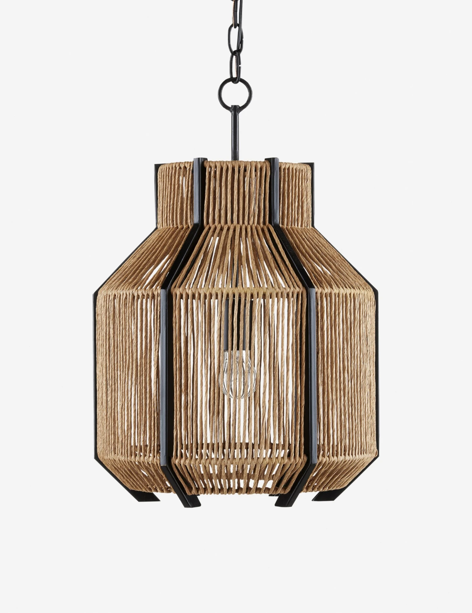 Pasha Pendant Light 1 Pasha Pendant Light