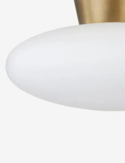 Joyce Flush Mount -KIRA Lighting Shop BRODYC5415 PBR 002