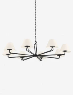 Hayden Chandelier -KIRA Lighting Shop F2550 BI