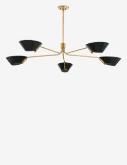 Riaz Chandelier -KIRA Lighting Shop F8163 PBR SBK