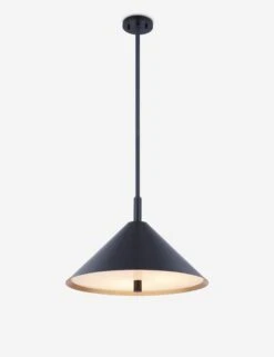 Alexander Pendant -KIRA Lighting Shop H629701L GL SBK 001