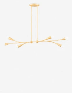 Elsa Linear Chandelier By Eny Lee Parker X Mitzi