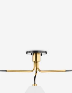 Tuen Chandelier 5 Tuen Chandelier -KIRA Lighting Shop KBS1751803 AOB 002 2