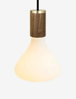 Noma Pendant Light By Tala -KIRA Lighting Shop NOMA SET WP 01 1